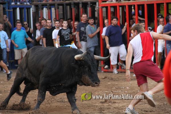 El torero Serafín Marín y Los Quintos del 86 centran la actividad taurina