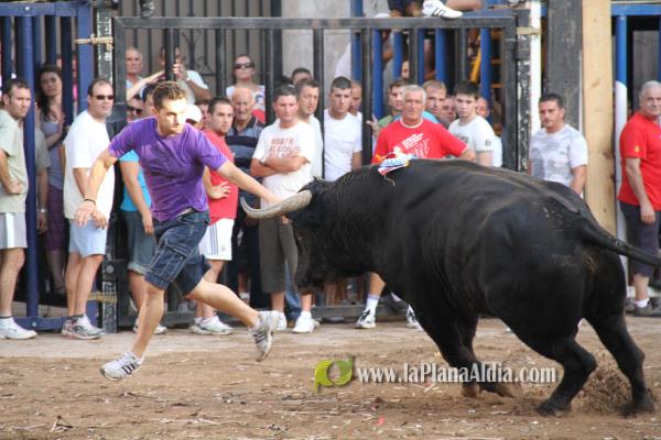 El torero Serafín Marín y Los Quintos del 86 centran la actividad taurina