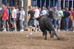 El torero Serafín Marín y Los Quintos del 86 centran la actividad taurina