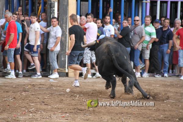 El torero Serafín Marín y Los Quintos del 86 centran la actividad taurina