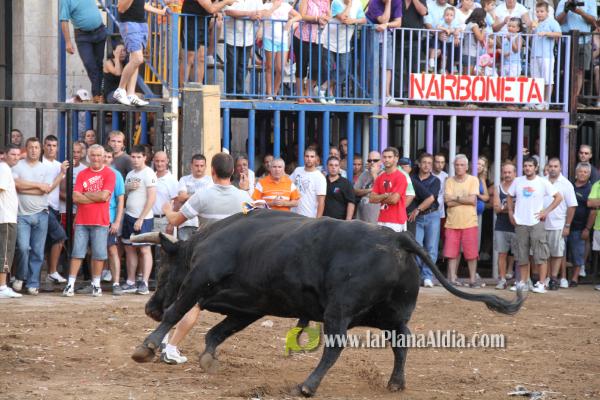 El torero Serafín Marín y Los Quintos del 86 centran la actividad taurina