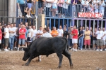 El torero Serafín Marín y Los Quintos del 86 centran la actividad taurina
