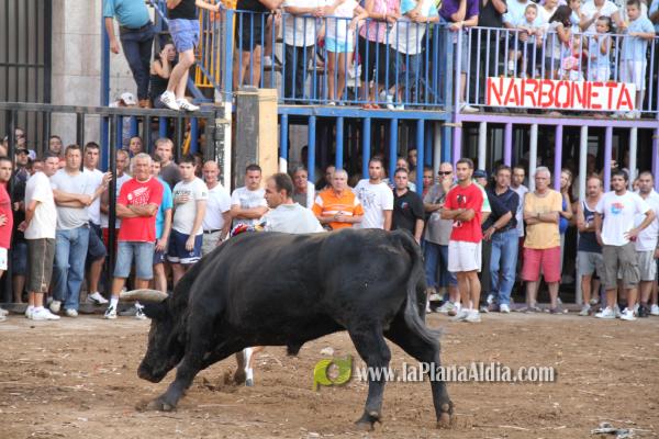 El torero Serafín Marín y Los Quintos del 86 centran la actividad taurina