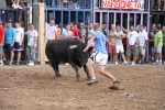 El torero Serafín Marín y Los Quintos del 86 centran la actividad taurina