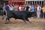 El torero Serafín Marín y Los Quintos del 86 centran la actividad taurina