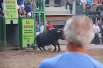 El torero Serafín Marín y Los Quintos del 86 centran la actividad taurina