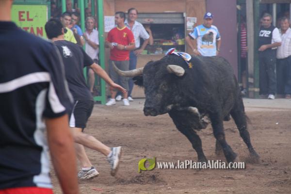 El torero Serafín Marín y Los Quintos del 86 centran la actividad taurina