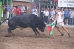 El torero Serafín Marín y Los Quintos del 86 centran la actividad taurina