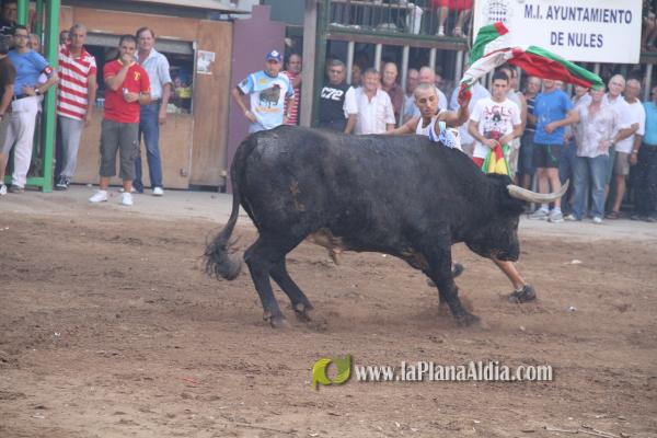 El torero Serafín Marín y Los Quintos del 86 centran la actividad taurina