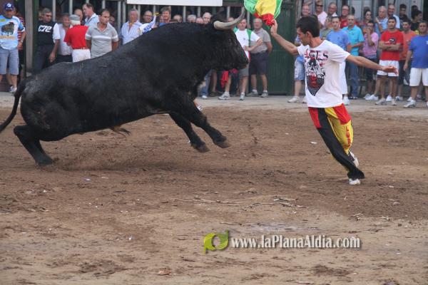 El torero Serafín Marín y Los Quintos del 86 centran la actividad taurina