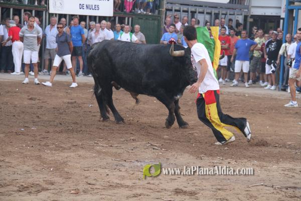 El torero Serafín Marín y Los Quintos del 86 centran la actividad taurina