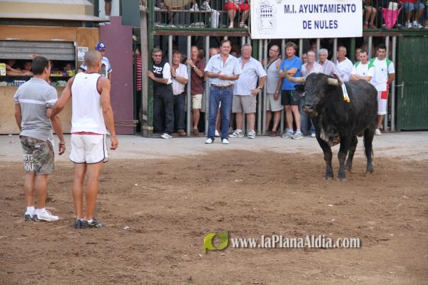 El torero Serafín Marín y Los Quintos del 86 centran la actividad taurina
