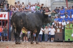 El torero Serafín Marín y Los Quintos del 86 centran la actividad taurina