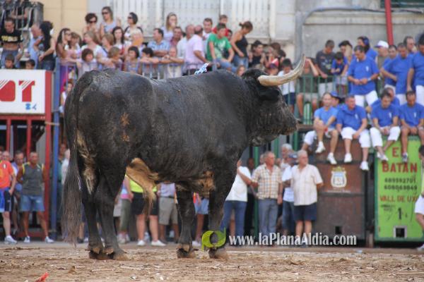 El torero Serafín Marín y Los Quintos del 86 centran la actividad taurina