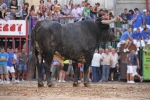 El torero Serafín Marín y Los Quintos del 86 centran la actividad taurina
