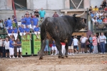 El torero Serafín Marín y Los Quintos del 86 centran la actividad taurina