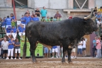 El torero Serafín Marín y Los Quintos del 86 centran la actividad taurina