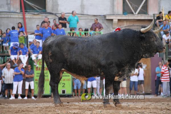 El torero Serafín Marín y Los Quintos del 86 centran la actividad taurina