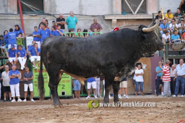 El torero Serafín Marín y Los Quintos del 86 centran la actividad taurina
