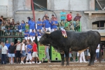 El torero Serafín Marín y Los Quintos del 86 centran la actividad taurina