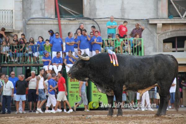 El torero Serafín Marín y Los Quintos del 86 centran la actividad taurina