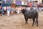El torero Serafín Marín y Los Quintos del 86 centran la actividad taurina