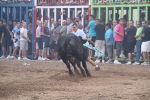 El torero Serafín Marín y Los Quintos del 86 centran la actividad taurina