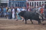 El torero Serafín Marín y Los Quintos del 86 centran la actividad taurina