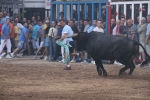 El torero Serafín Marín y Los Quintos del 86 centran la actividad taurina