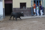 San Xotxim cierra los actos taurinos