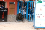 Se cierran las exhibiciones taurinas en la localidad por Sant Xotxim