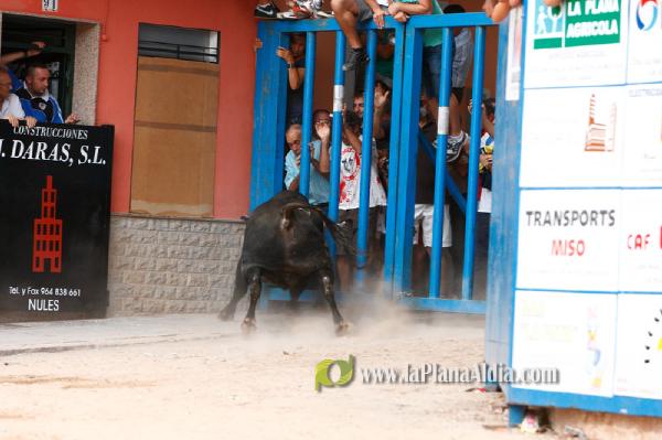 Se cierran las exhibiciones taurinas en la localidad por Sant Xotxim
