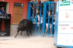 Se cierran las exhibiciones taurinas en la localidad por Sant Xotxim