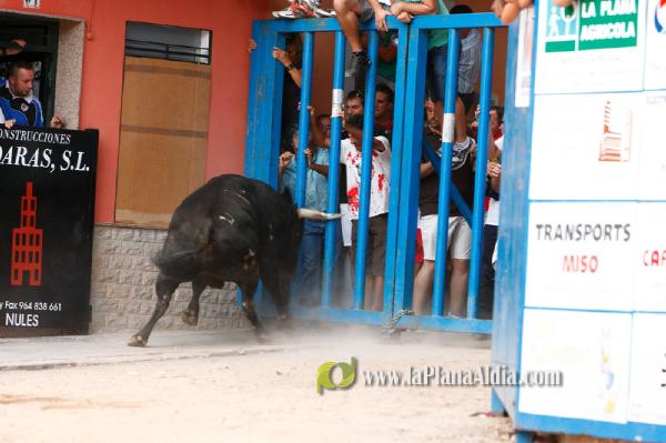 Se cierran las exhibiciones taurinas en la localidad por Sant Xotxim