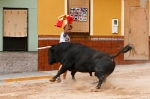 Se cierran las exhibiciones taurinas en la localidad por Sant Xotxim
