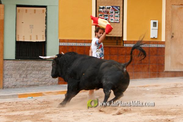 Se cierran las exhibiciones taurinas en la localidad por Sant Xotxim