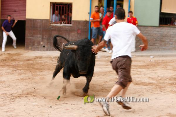 Se cierran las exhibiciones taurinas en la localidad por Sant Xotxim