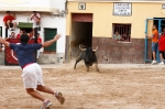 Se cierran las exhibiciones taurinas en la localidad por Sant Xotxim