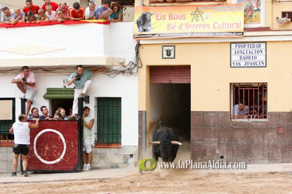 Se cierran las exhibiciones taurinas en la localidad por Sant Xotxim