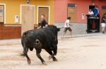 Se cierran las exhibiciones taurinas en la localidad por Sant Xotxim