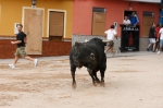 Se cierran las exhibiciones taurinas en la localidad por Sant Xotxim