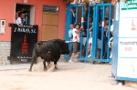 Se cierran las exhibiciones taurinas en la localidad por Sant Xotxim