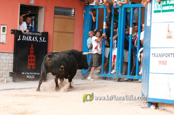 Se cierran las exhibiciones taurinas en la localidad por Sant Xotxim