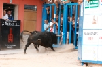 Se cierran las exhibiciones taurinas en la localidad por Sant Xotxim