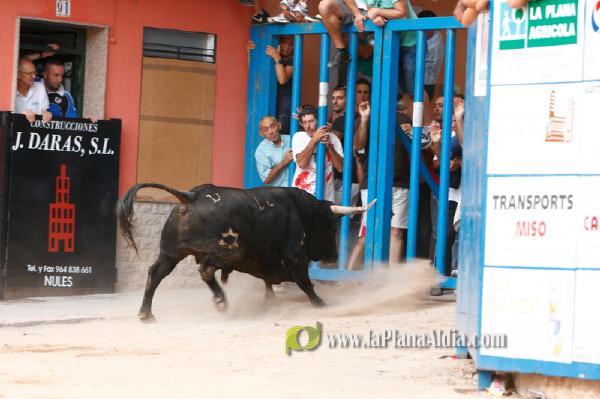 Se cierran las exhibiciones taurinas en la localidad por Sant Xotxim