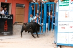 Se cierran las exhibiciones taurinas en la localidad por Sant Xotxim