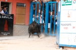 Se cierran las exhibiciones taurinas en la localidad por Sant Xotxim
