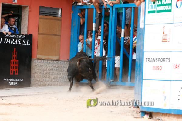 Se cierran las exhibiciones taurinas en la localidad por Sant Xotxim