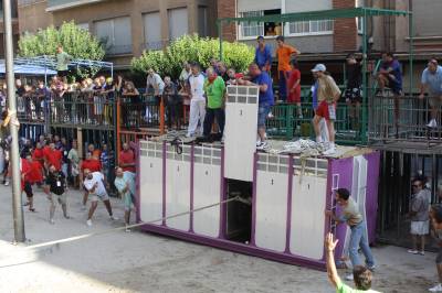 Fotografia /Gallery/35388_19514/5_M1.jpg