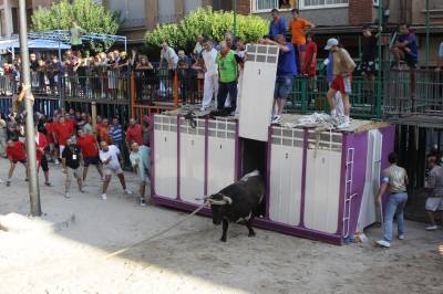 Fotografia /Gallery/35388_19514/6_M1.jpg